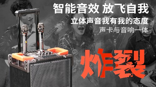 爵士龍F(tuán)110音響，直播與聚會(huì)的首選！