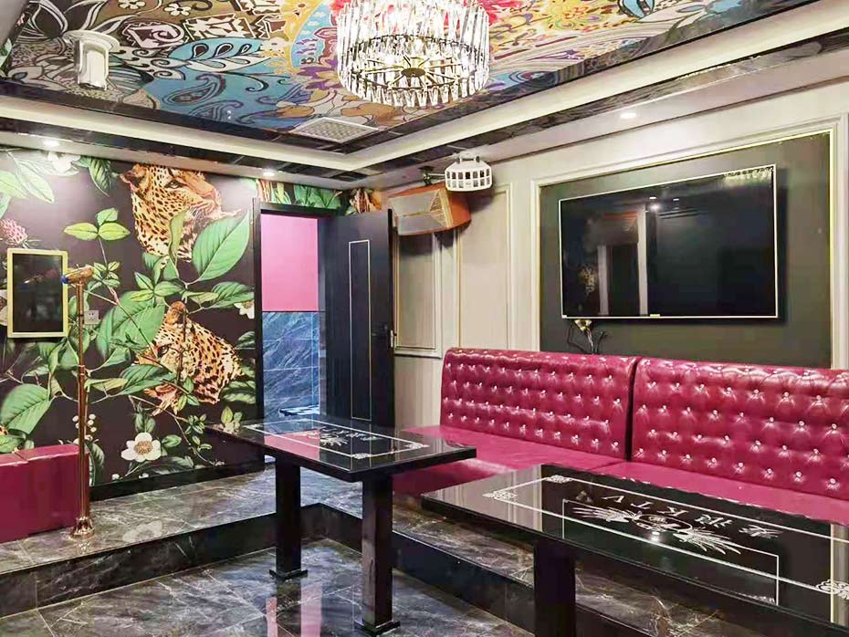 爵士龍民用音響娛樂(lè)KTV音響加入黑龍江哈爾濱某KTV