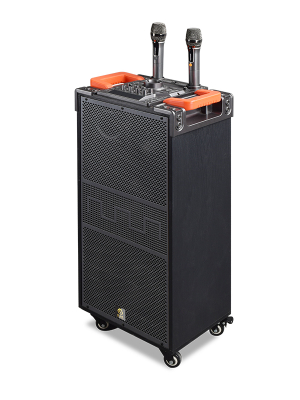 F110系列網(wǎng)紅直播聲卡音響